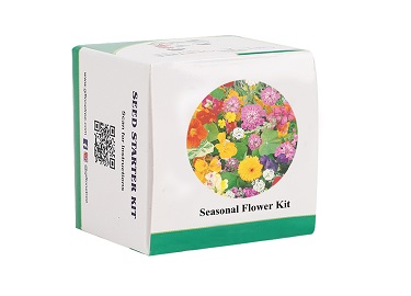 Buy Grow Your Own Plant Kit